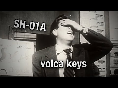 19. Roland SH-01A & Korg volca keys - recorded 7/9/2020
