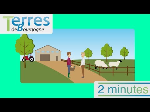 2 minutes Circuit Court