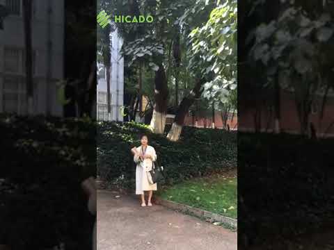 hoc-tieng-trung-o-phu-quoc-giao-tiep