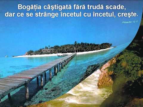 Ovidiu Liteanu - Pan-la margini de pamant