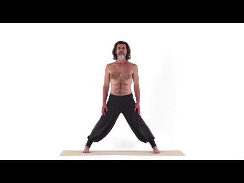 Winkelhaltung 1 - Parshva Uttana Asana