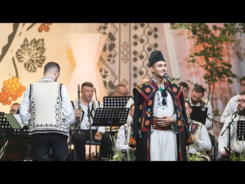 Alexandru Staicu - „Strugurele de Aur”