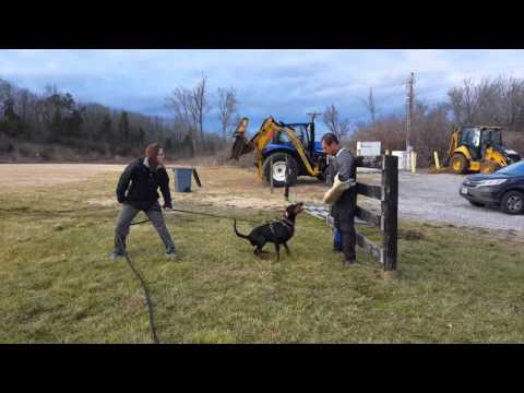 Agira od Cernych demonu 14 months