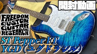 Video thumbnail for 開封の儀！Freedom Custom Guitar Reserch ST Pepper FT YGD【商品紹介@Guitar Planet】 by GUITAR PLANET CHANNEL