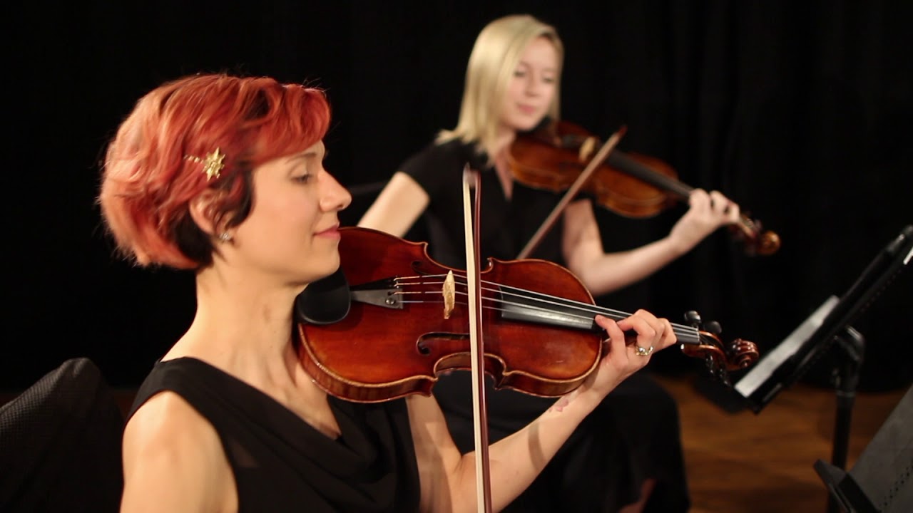 Promotional video thumbnail 2 for Fretless Music