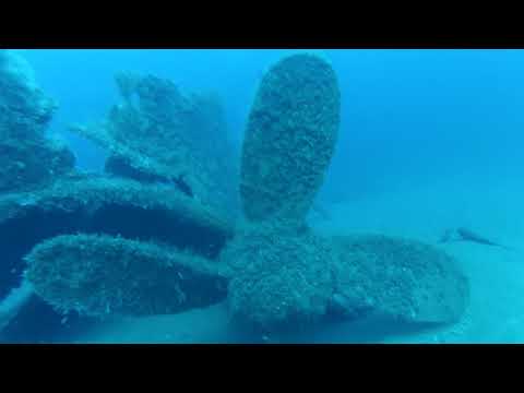 Exploring the Proteus Shipwreck with Dive Hatteras