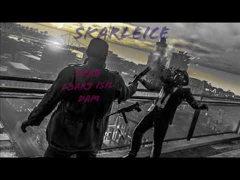 SKARLEICE . DRAB L3AR9