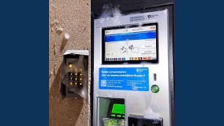 Bonus-podium: Sagostund med Lärkan, Domhöken och Hackis - stjärnorna på den blå himmelen