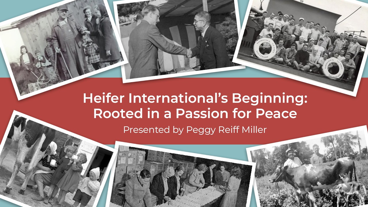 The Story Behind the Organization That Changed Development Work
