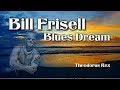 Bill Frisell Blues Dream - Beach Series
