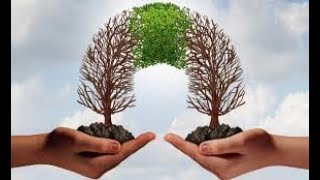 Lucy Wainwright Roche's "Bridge"  An Unofficial Slideshow