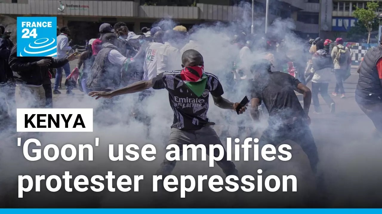 Systemic use of 'goons' in Kenya amplifies political repression • FRANCE 24 English