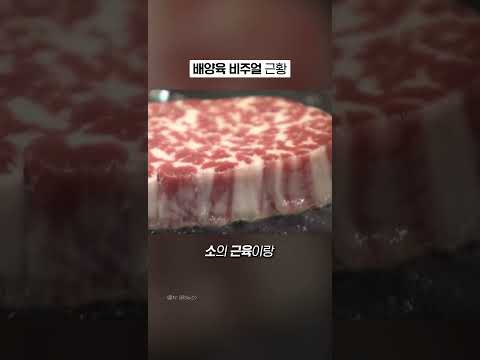 스테이크처럼 생긴 배양육 근황