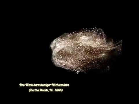 Wie liebt man richtig?🌺 (BD 4868)