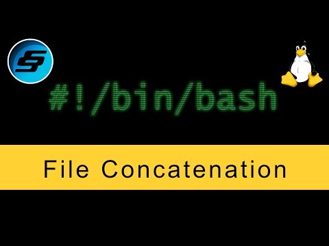 File Concatenation cat Bash Scripting