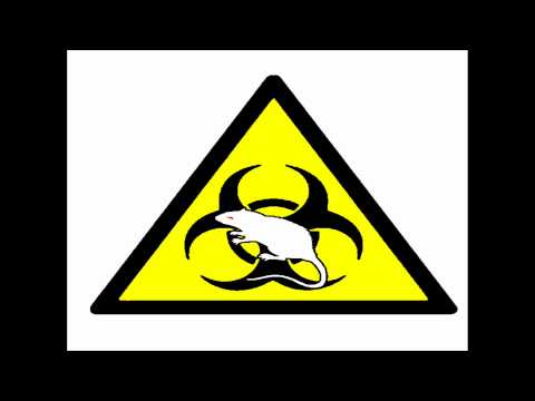 TNS - Słodka gorycz