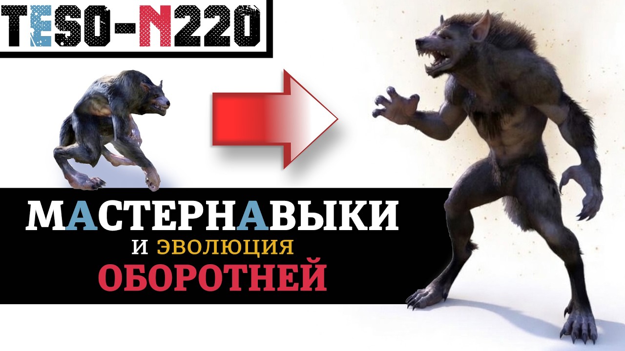 Мастер пассивки для классов, эволюция оборотней, сложность и промокод для вс