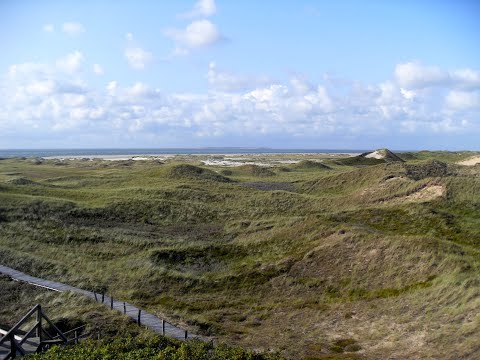 Achtsamkeit auf die Gefühls- und Sinnes-Landschaften - Yesche - Morgen-Meditation - 28.1.2021