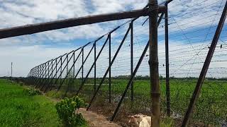 India-bangladesh zero line#trending #vlog #viralvideo