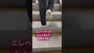 あるある #カナダvlog #海外育ち #バイリンガルキッズ #家族vlog #あるある#日常生活vlog #カナダ留学生 #カナダ留学生 #海外在住ママ #海外生活vlog#海外あるある#海外在住