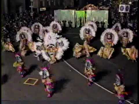 1993 Jungle Mania  (Golden Crown Fancy Brigade)