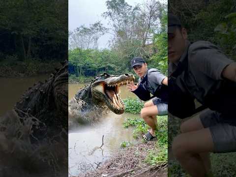 Survival Skills: Make a Weapon to Defend Against Crocodiles 🐊#ohd #survival #bushcraft #skills