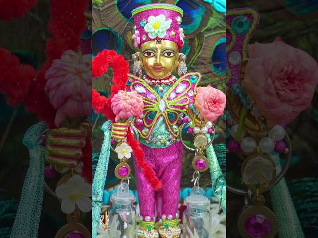 હરિકૃષ્ણ મહારાજ