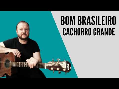 Bom Brasileiro - Cachorro Grande