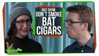 Scishow Quiz Show: Supersonic Giggles and Bat Cigars