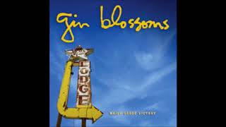 Gin Blossoms - Learning the Hard Way (Instrumental)