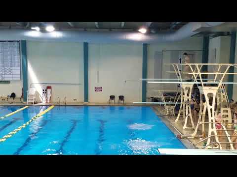 2017 UNCW Men's 3m - Dive 1 401C