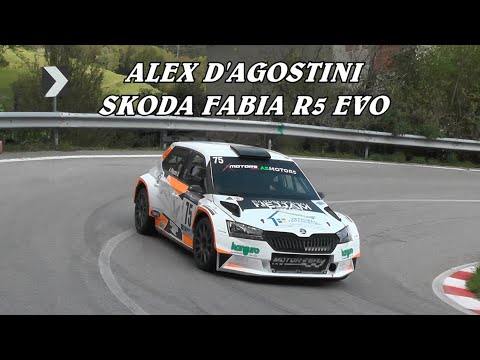 PEDAVENA CLIMB - CROCE D'AUNE 2025 | ALEX D'AGOSTINI | SKODA FABIA R5 EVO | BY BELLUNOVIDEO