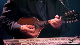 Wolves of Ice and Snow