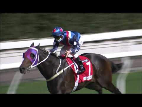 16/12/2020 (274) Flying Genius - Z Purton