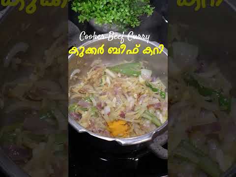 കുക്കറിൽ എളുപ്പത്തിൽ ബീഫ് കറി | Beef Curry In Pressure Cooker | Kerala Beef Curry | Easy Beef Curry