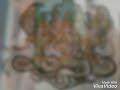 Manasa Stotram Shasti Stotram