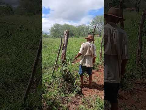 Fazenda Santa Maria Nova Redenção Bahia
