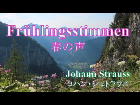 学校教員養成課程 "Frühlingsstimmen" Johann Strauss (Sohn) , Sopran Yum Mizuguchi