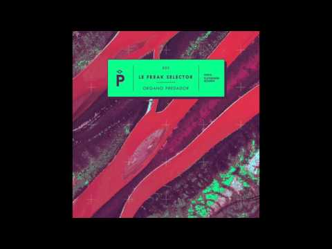 Le Freak Selector -  Nasty Bubbles (Original Mix)