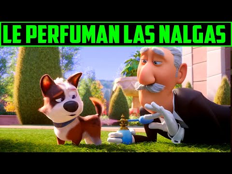 THE MILLIONAIRE DOG - MISCHIEVOUS - 12-MINUTE SUMMARY