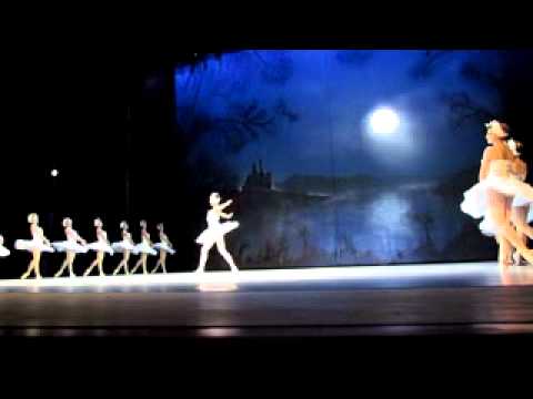 El Lago de los Cisnes