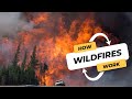 The Science Behind Wildfires How They Start And Spread CBC Kids News