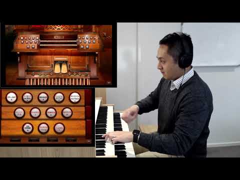 Krummhorn (Basson-Hautbois?!) from Organ ABC - Vidas Pinkevicius | Hauptwerk St. Eucaire Metz