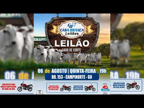LEILÃO GADO DE CORTE CASA BRANCA LEILÕES -  CAMPINORTE - GO  06 /08 / 2026
