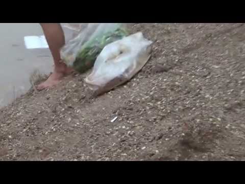 كلمة لقائد لواء جعفر الطيار في ريف دير الزور حول الوضع في مخيمات المقاتلين بعد غرقها بمياه الأمطار