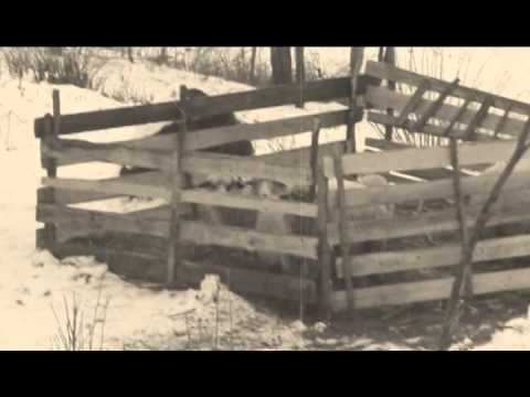 Romania - Borsa  Villages ( near Cluj Napoca), visiting the Roma (Gypsy)