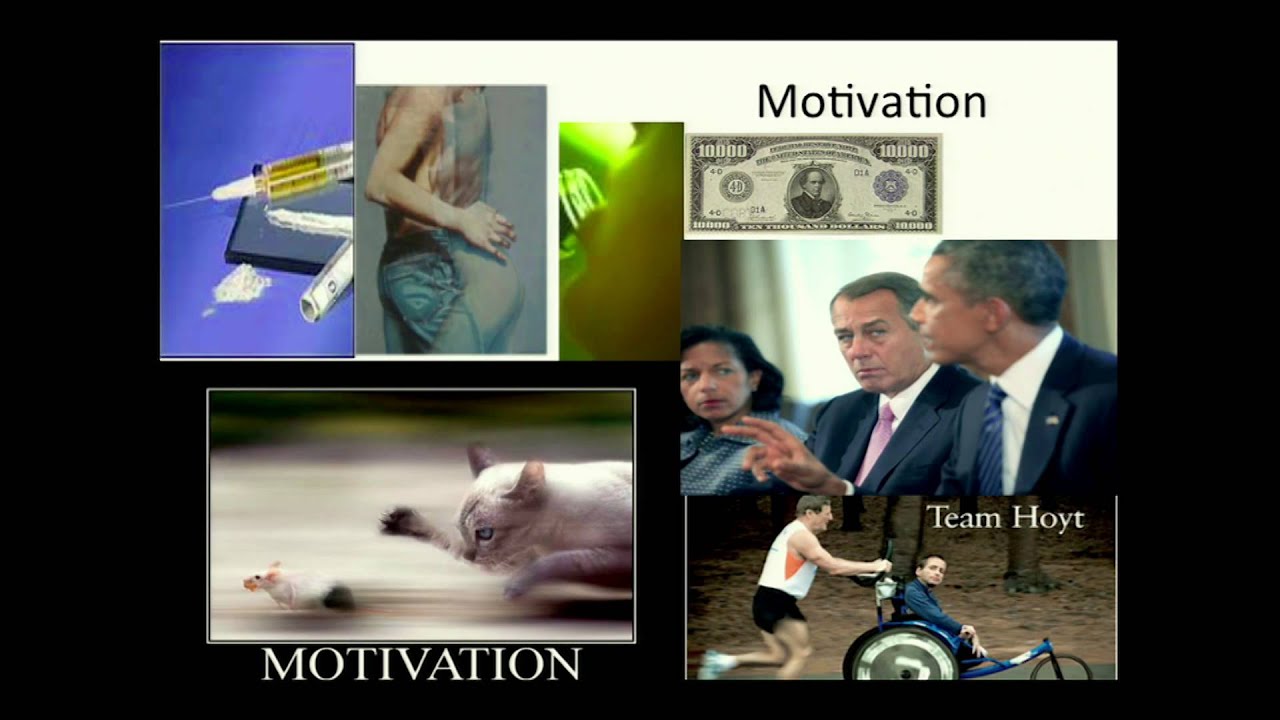 The Developmental Science of Adolescence