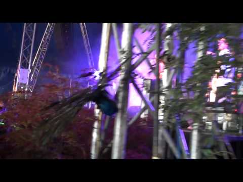 Rob da Bank at Camp Bestival 2009 - Saturday