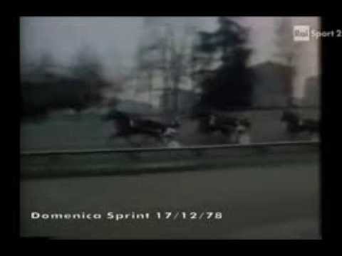 Premio d'Inverno 1978 -Delfo