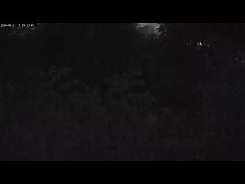 Whitby Lakeview & Forest live cam thumbnail